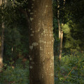 IMG_1304.webp