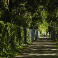 IMG_1460.webp