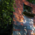 IMG_1517.webp