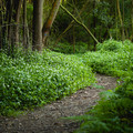 IMG_1532.webp
