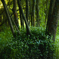 IMG_1549.webp
