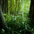 IMG_1551.webp