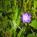 IMG_1596.webp
