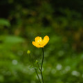 IMG_1619.webp