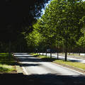IMG_1651.webp