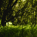 IMG_1655.webp