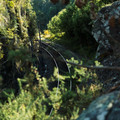IMG_1757.webp
