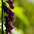 IMG_1844.webp