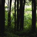 IMG_1864.webp