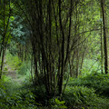 IMG_1866.webp