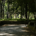 IMG_1880.webp