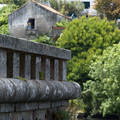 IMG_1903.webp