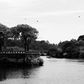 IMG_1906.webp