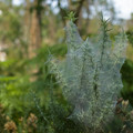 IMG_1964.webp